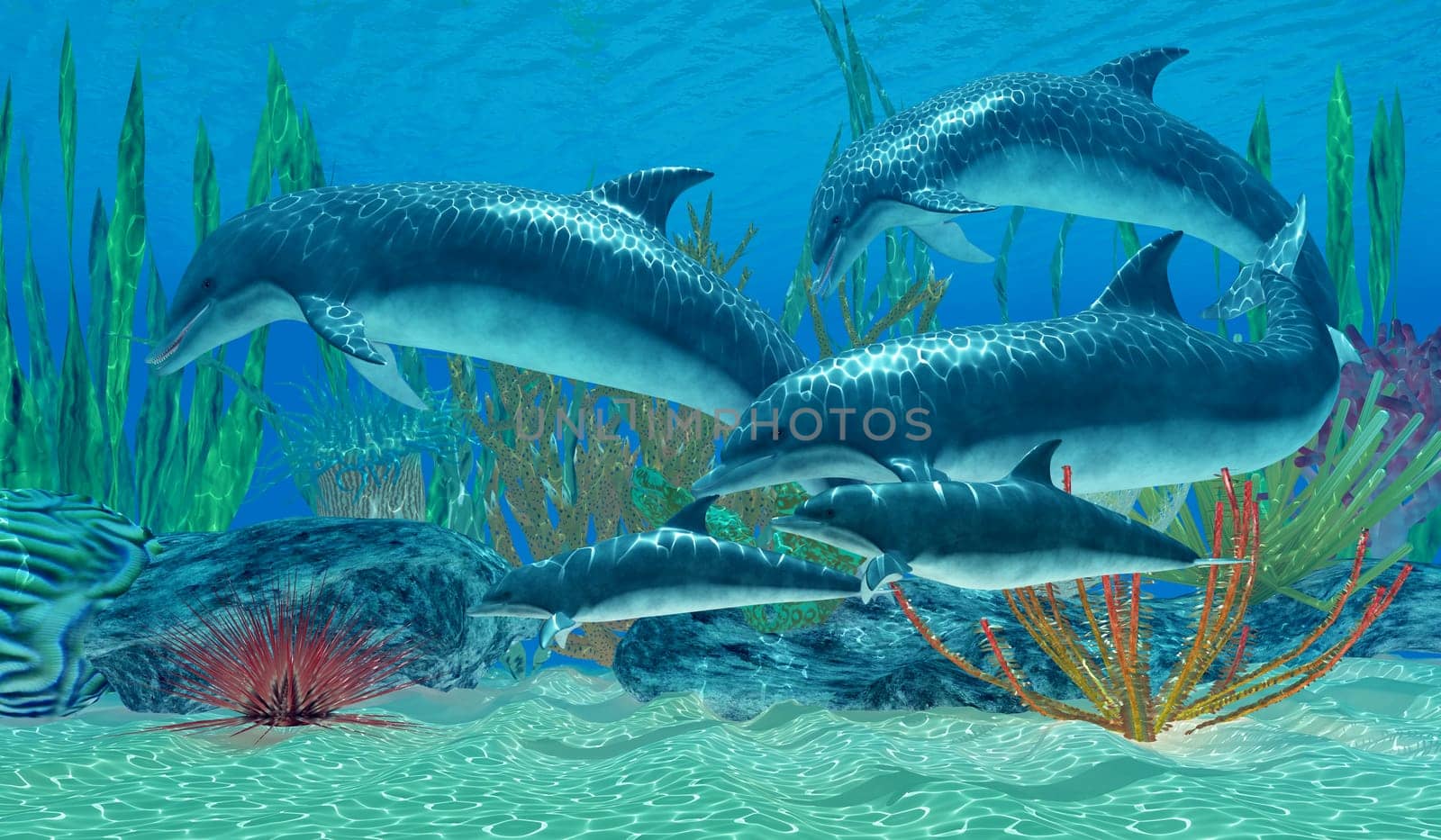 A family of Bottlenose Dolphins swim near an ocean reef.