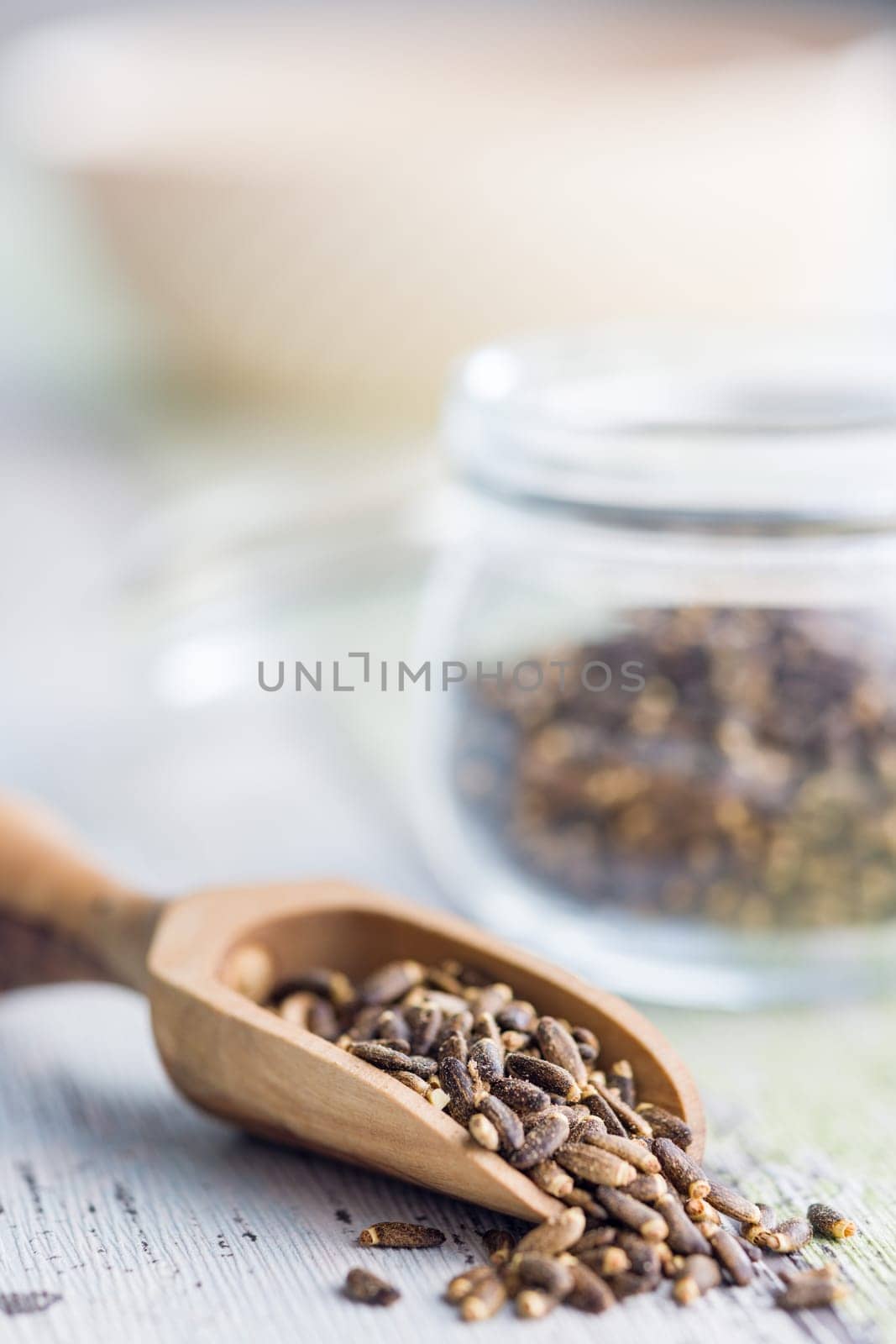 Milk thistle seeds in wooden scoop on a kitchen table.