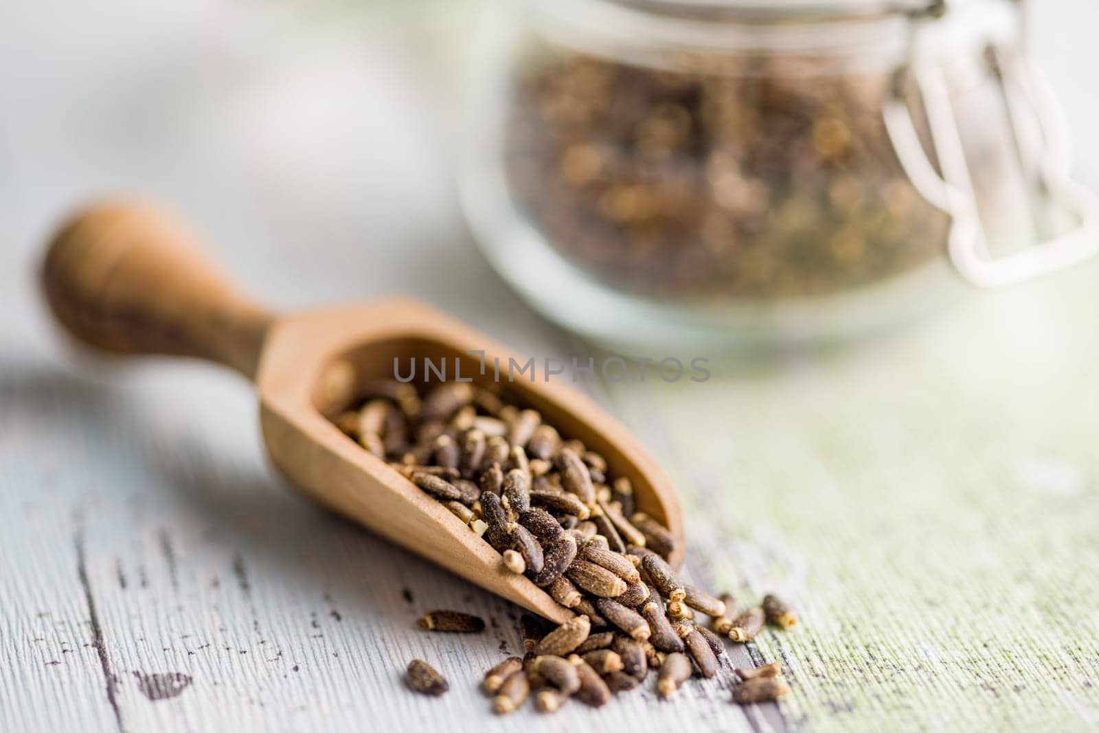 Milk thistle seeds in wooden scoop on a kitchen table.