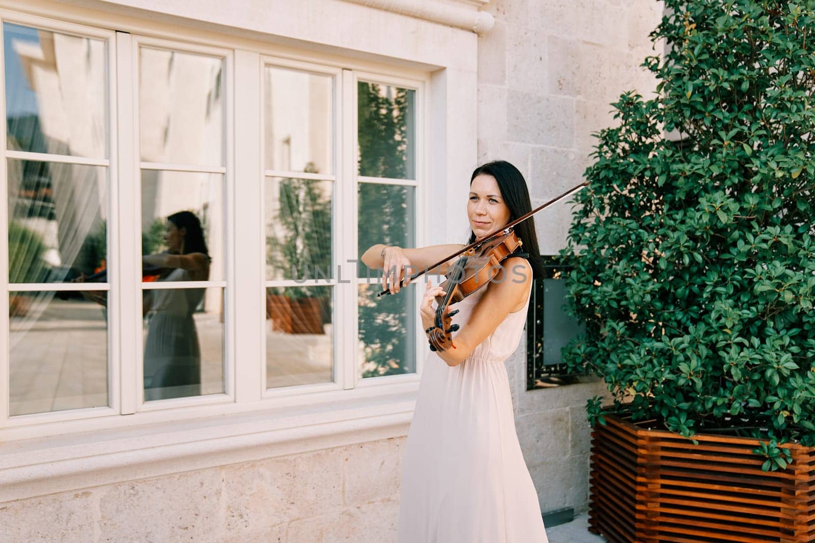 Violinist plays the violin near a green bush in a wooden flowerpot near an old house. High quality photo