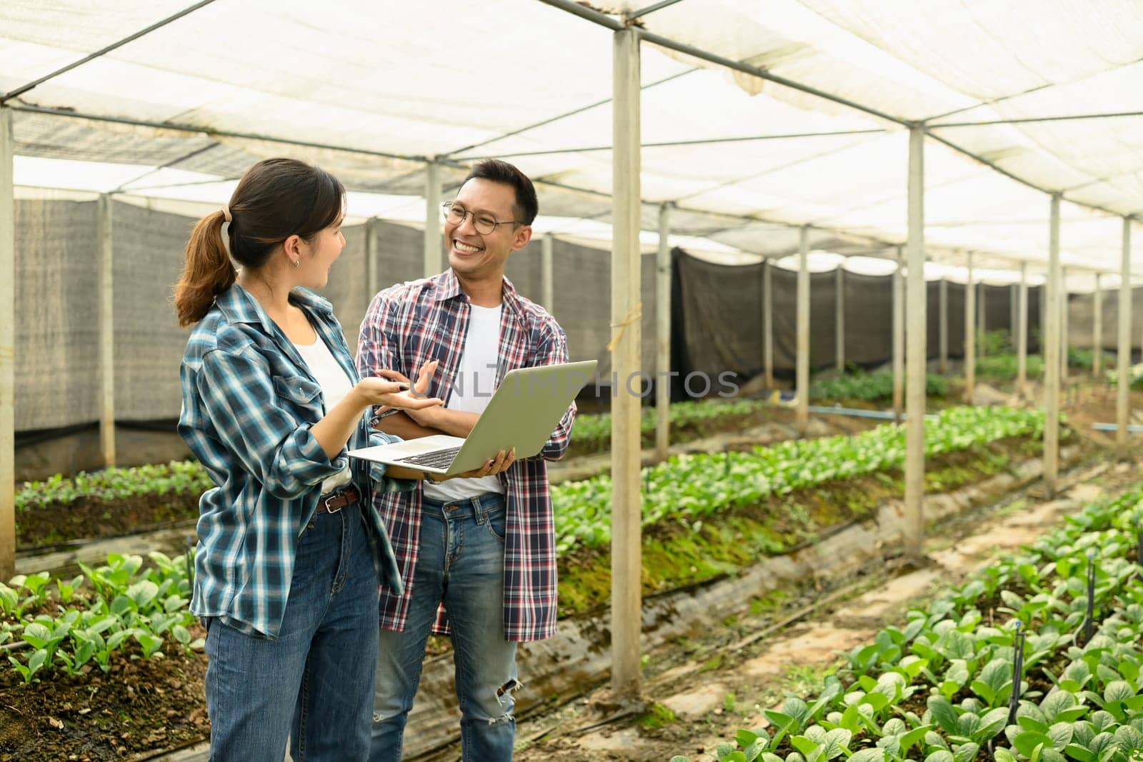 Smiling man and woman standing in a greenhouse, using a laptop to manage crop data.