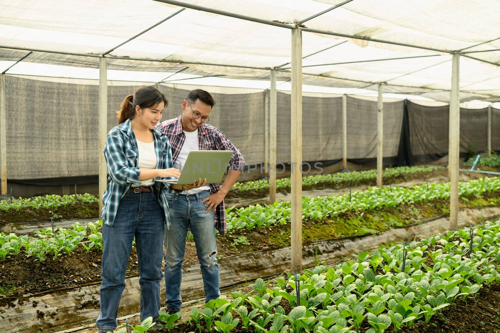 Smiling man and woman standing in a greenhouse, using a laptop to manage crop data.