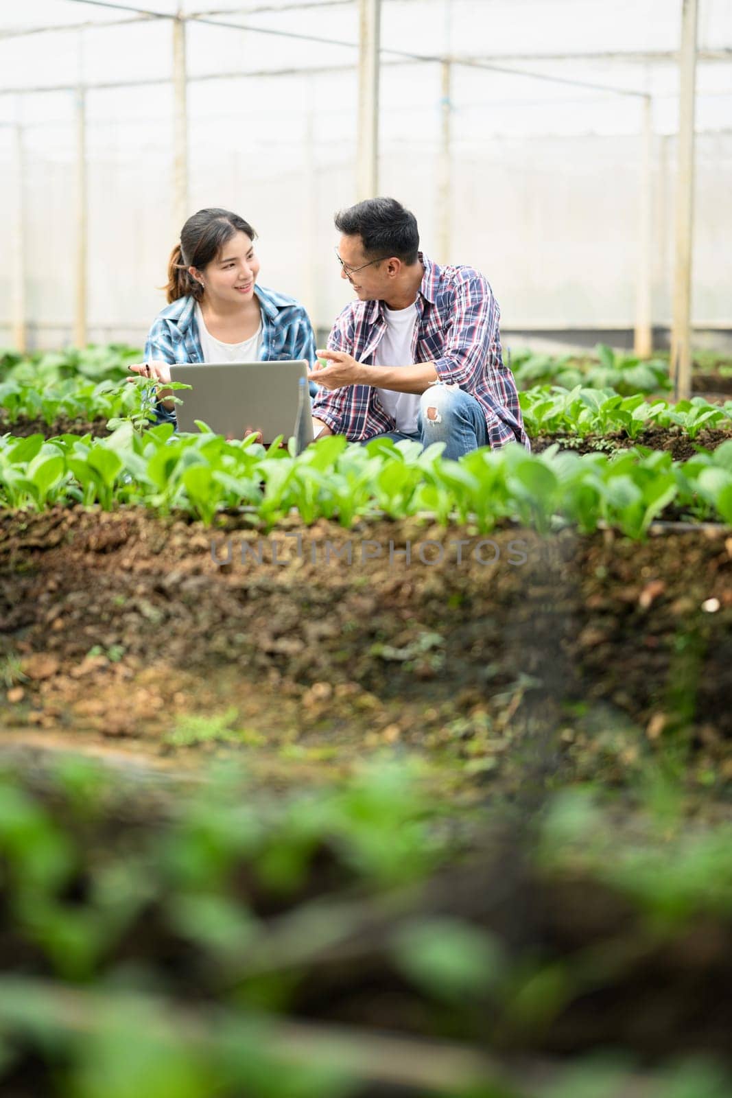 Two young farmers using a laptop while inspecting crops in a greenhouse.