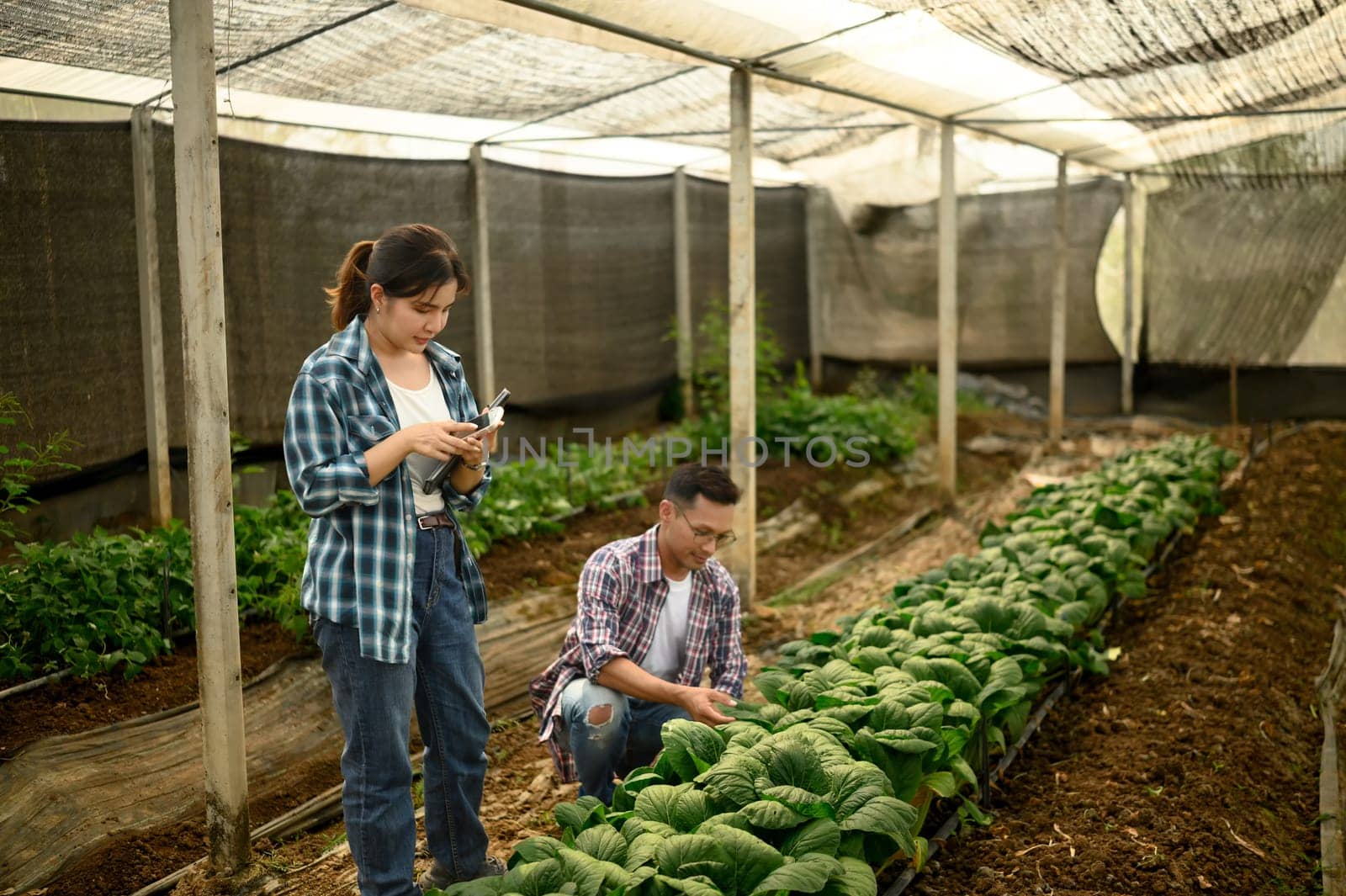 Two farmers working together in a greenhouse, collecting data and observing plant growth.