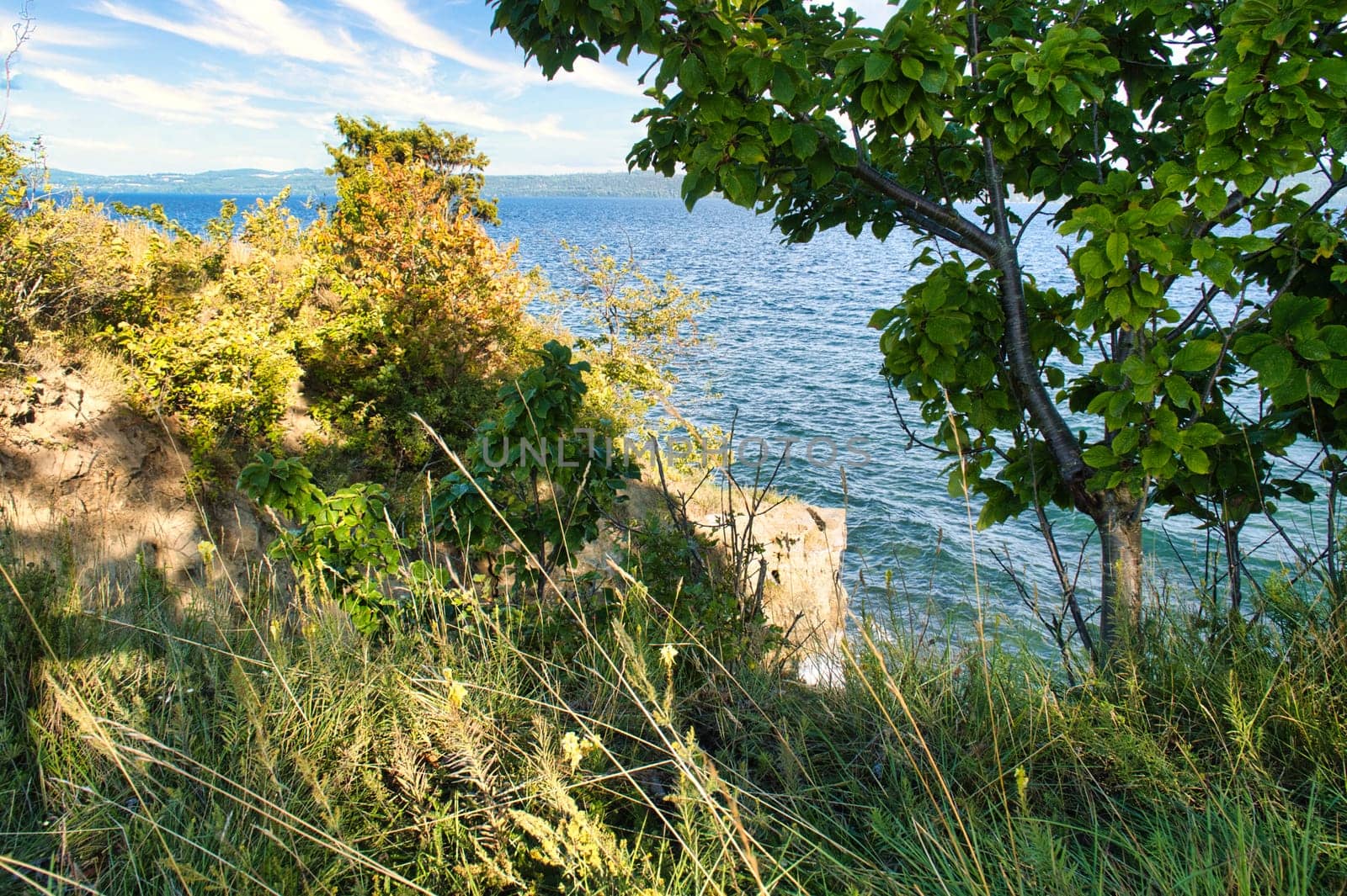 View from a cliff, an island in Sweden on a lake with clear water, surrounded by green trees and nature. Gentle waves, peaceful atmosphere - perfect for rest and relaxation.