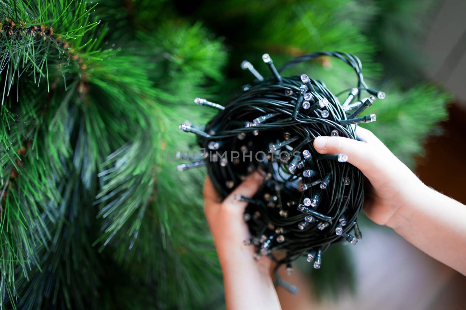 Child holding Christmas tree lights for decorating green pine.