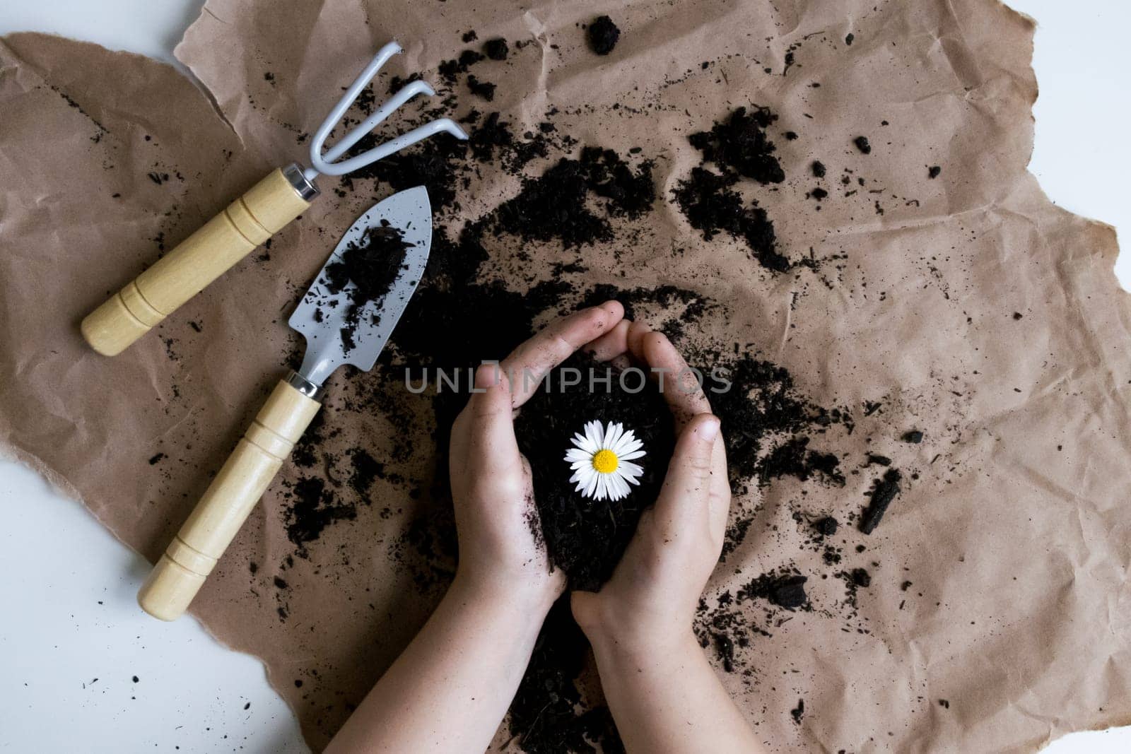 Childs hands holding daisy with soil and gardening tools on brown paper background.