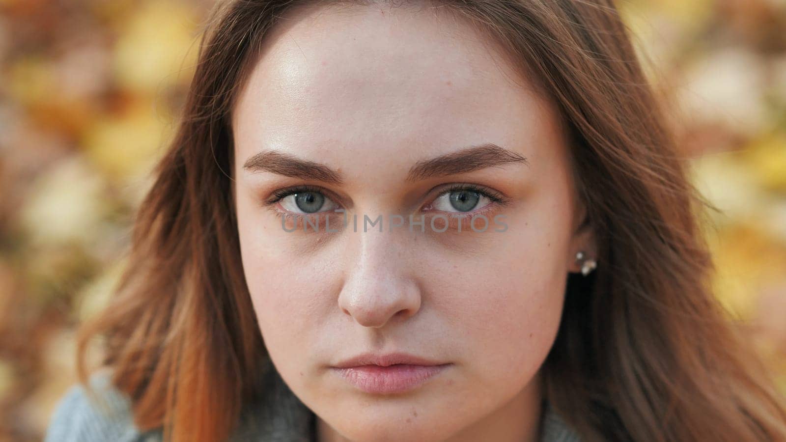 Portrait of a young and beautiful girl against a background of yellow leaves. Face close up
