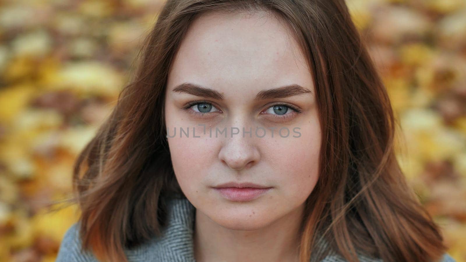 Portrait of a young and beautiful girl against a background of yellow leaves. Face close up