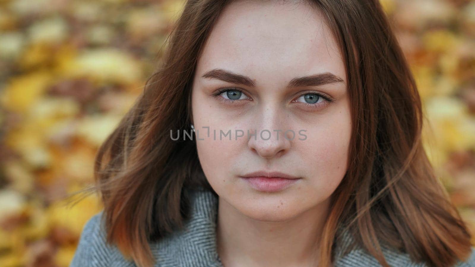 Portrait of a young and beautiful girl against a background of yellow leaves. Face close up