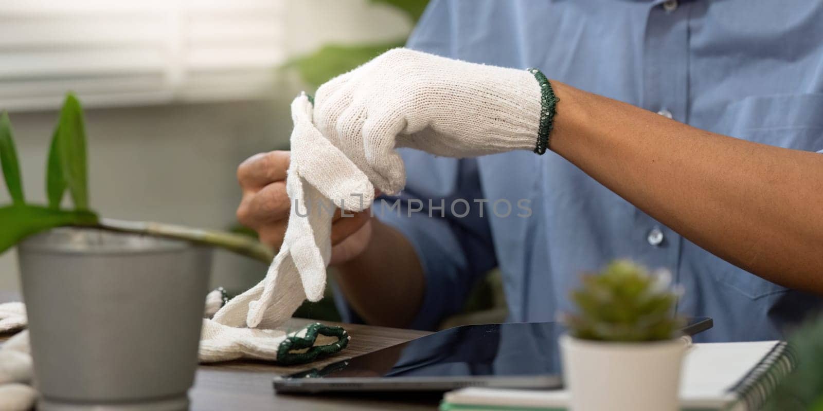 The focus rests on an individual poised to garden, adjusting gloves in preparation for nurturing green life while embracing environmental sustainability.