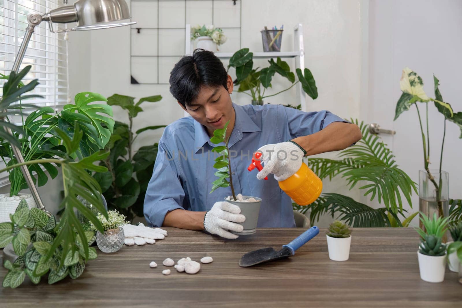 A gardener waters a plant with a spray bottle, showcasing sustainable practices and the importance of care in indoor gardening routines.