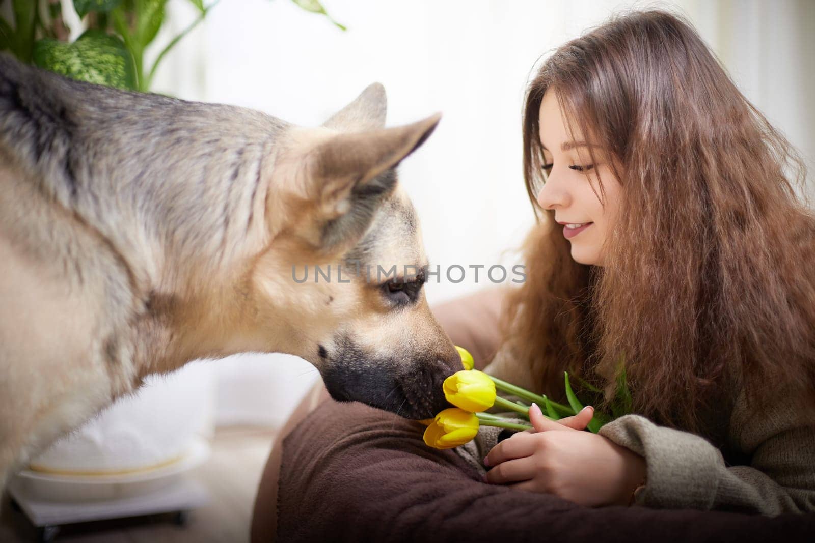 A woman with curly hair sits beside her dog, holding yellow tulips and sharing a moment in a warm, inviting home setting.