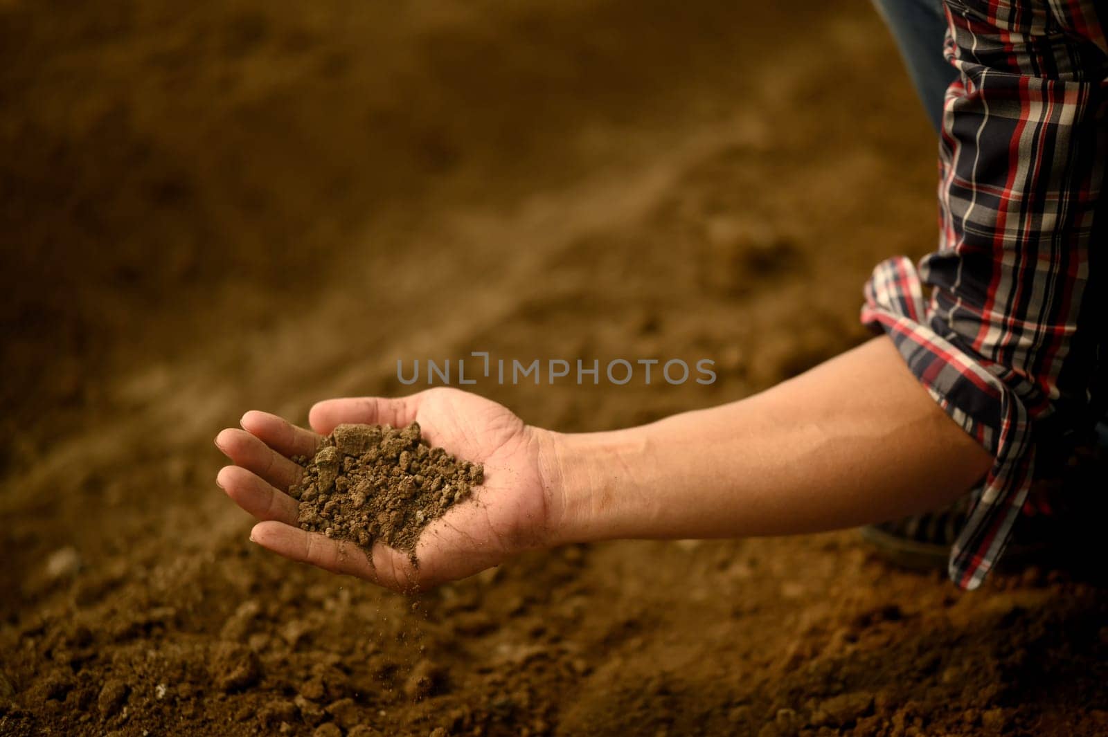 Male agronomist holding digital tablet and assessing soil conditions in a prepared greenhouse plot.