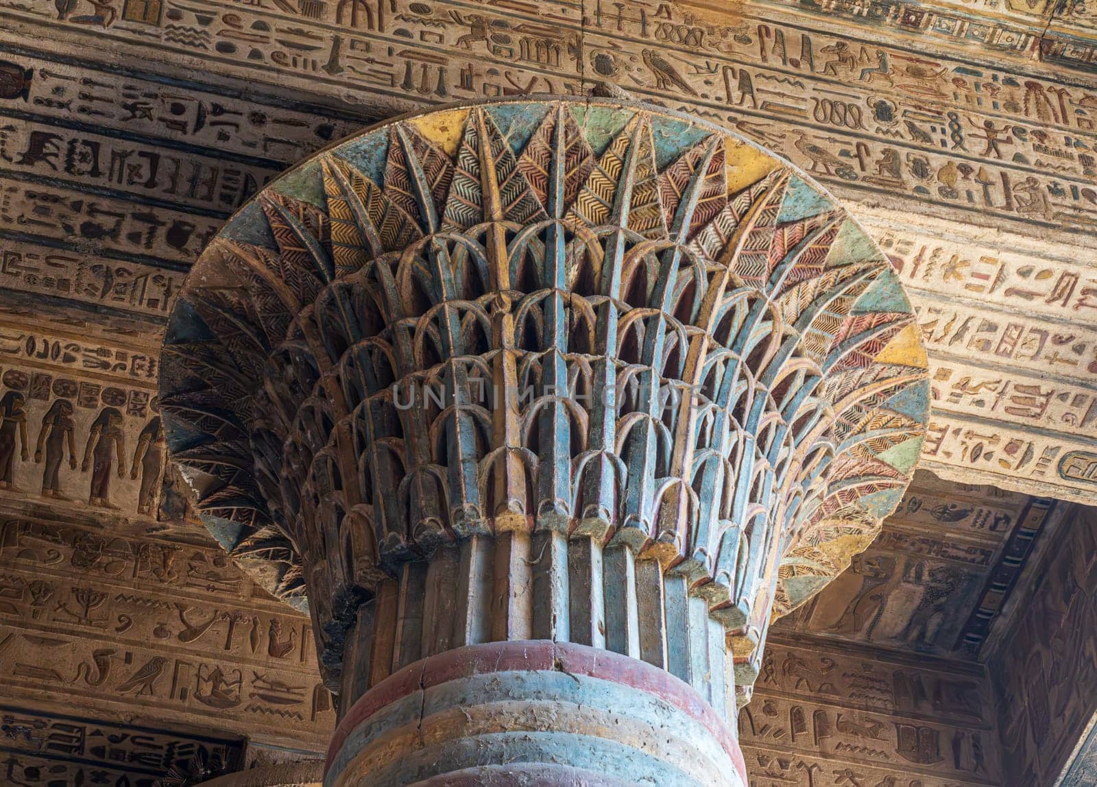 A low angle shot inside Esna Temple, showcasing the massive columns adorned with intricate carvings and hieroglyphs under an equally decorated ceiling
