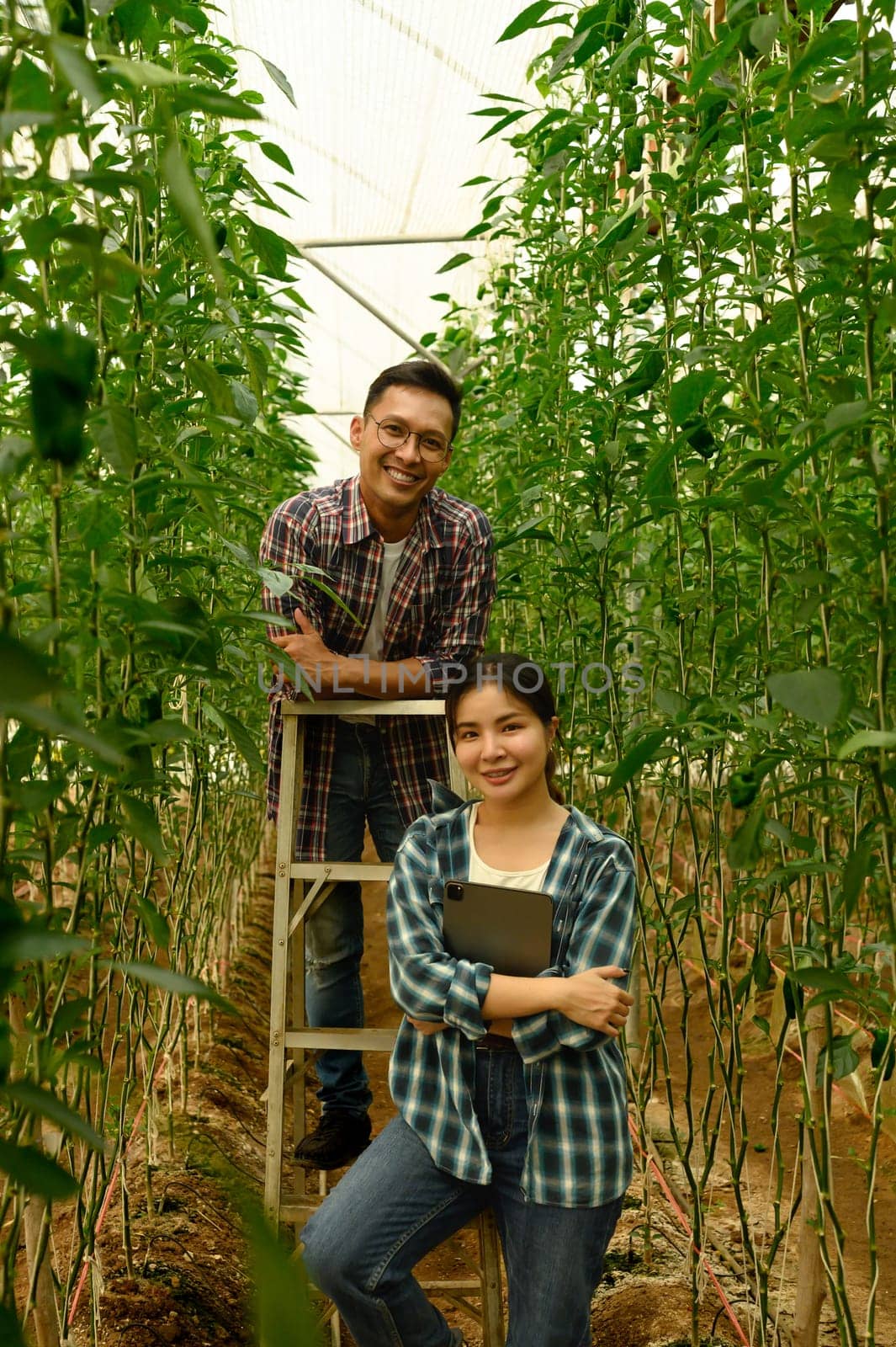 Male and female farmers pose among growing bell peppers.