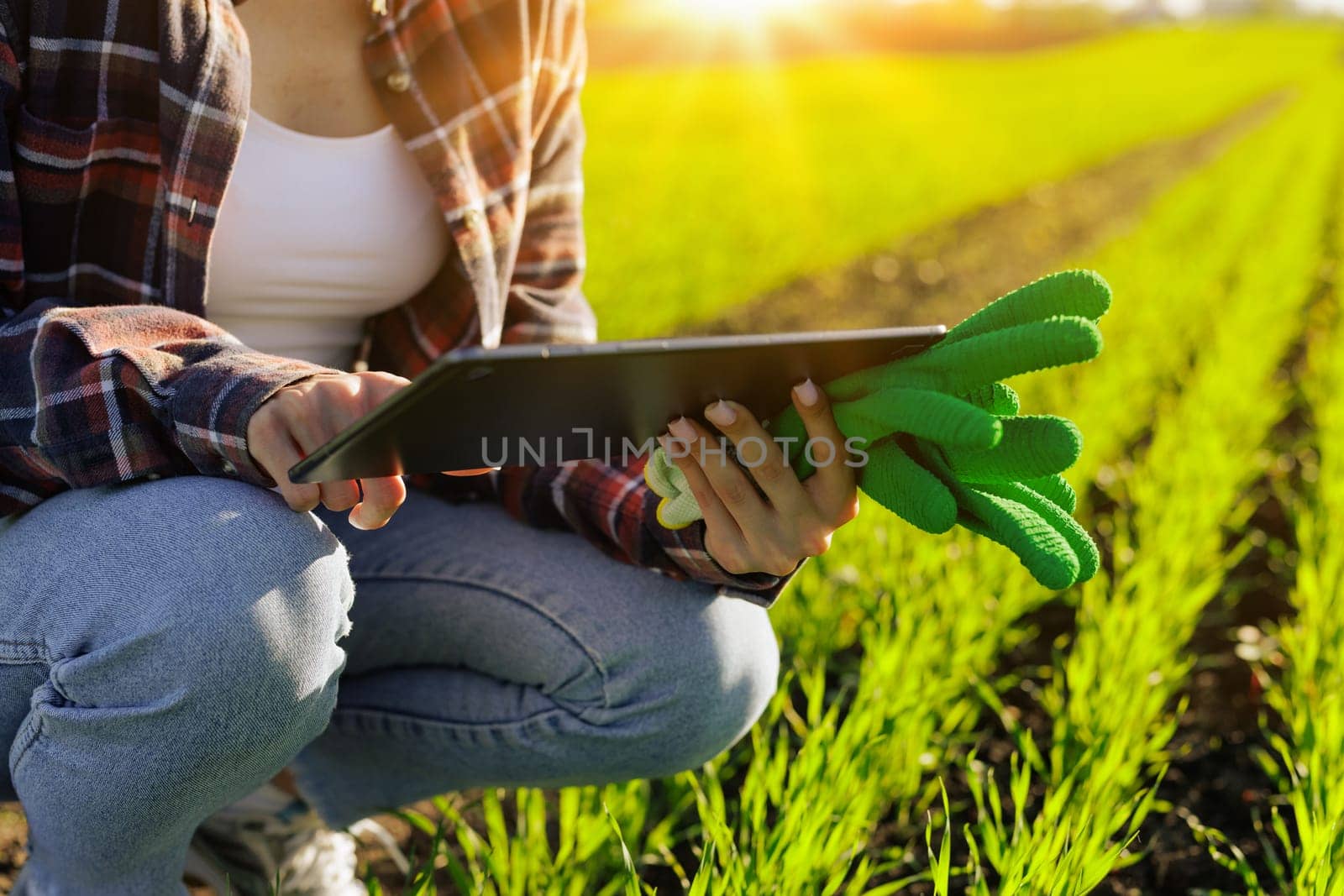 young female farmer with a tablet in her hands examines the green field. Modern technologies in agriculture management and agribusiness concept