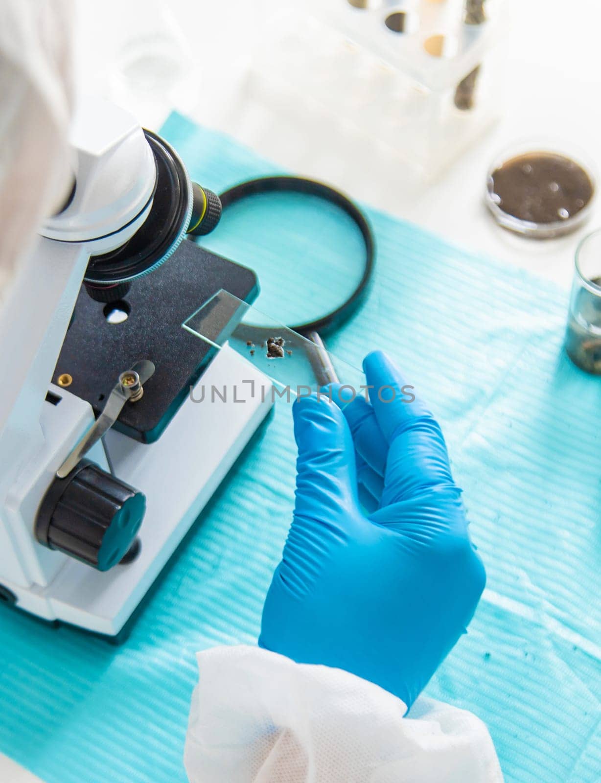 Soil testing in the laboratory. Selective focus. Nature.