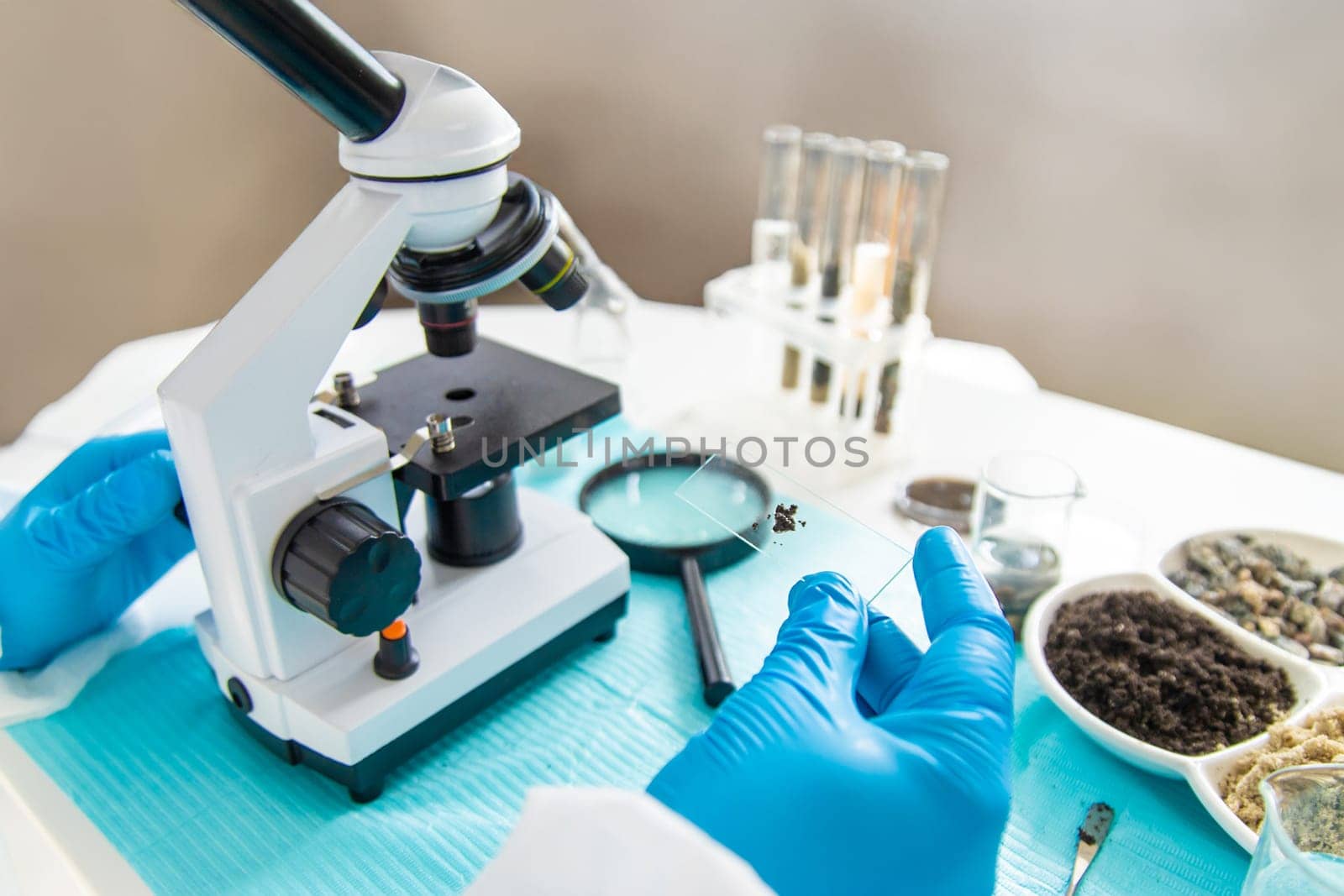 Soil testing in the laboratory. Selective focus. Nature.