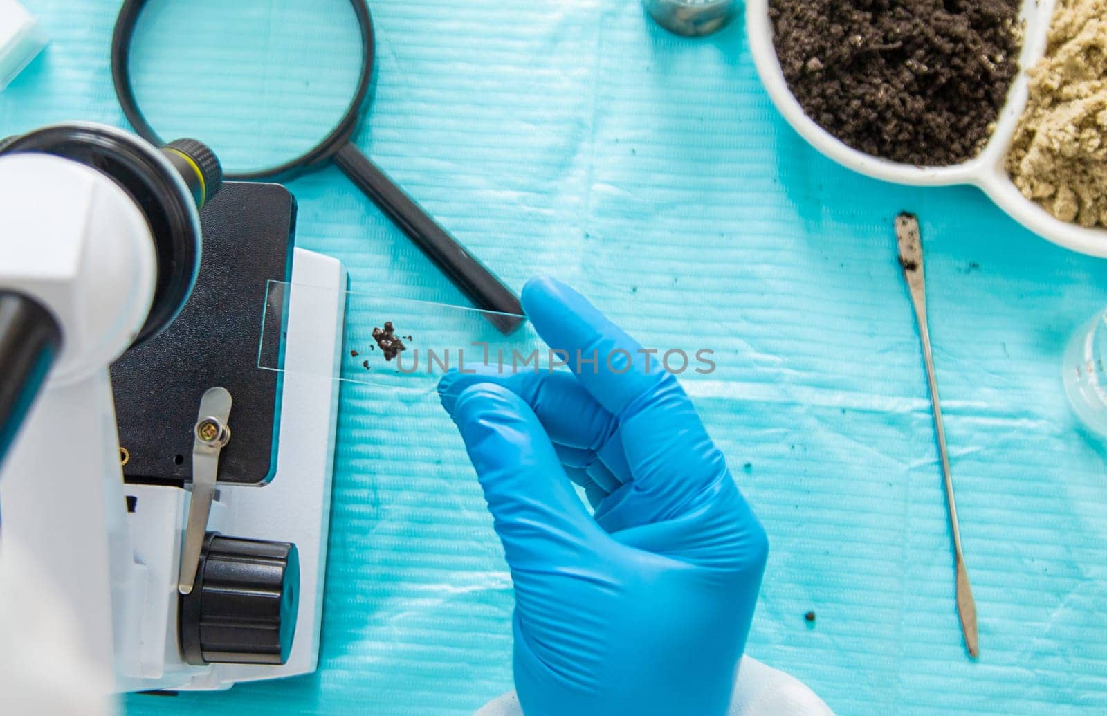 Soil testing in the laboratory. Selective focus. Nature.