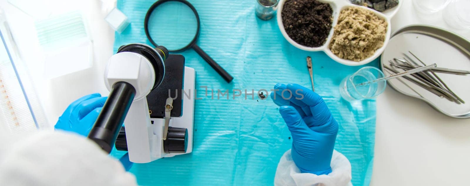 Soil testing in the laboratory. Selective focus. Nature.