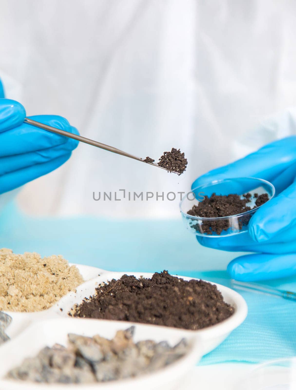 Soil testing in the laboratory. Selective focus. Nature.