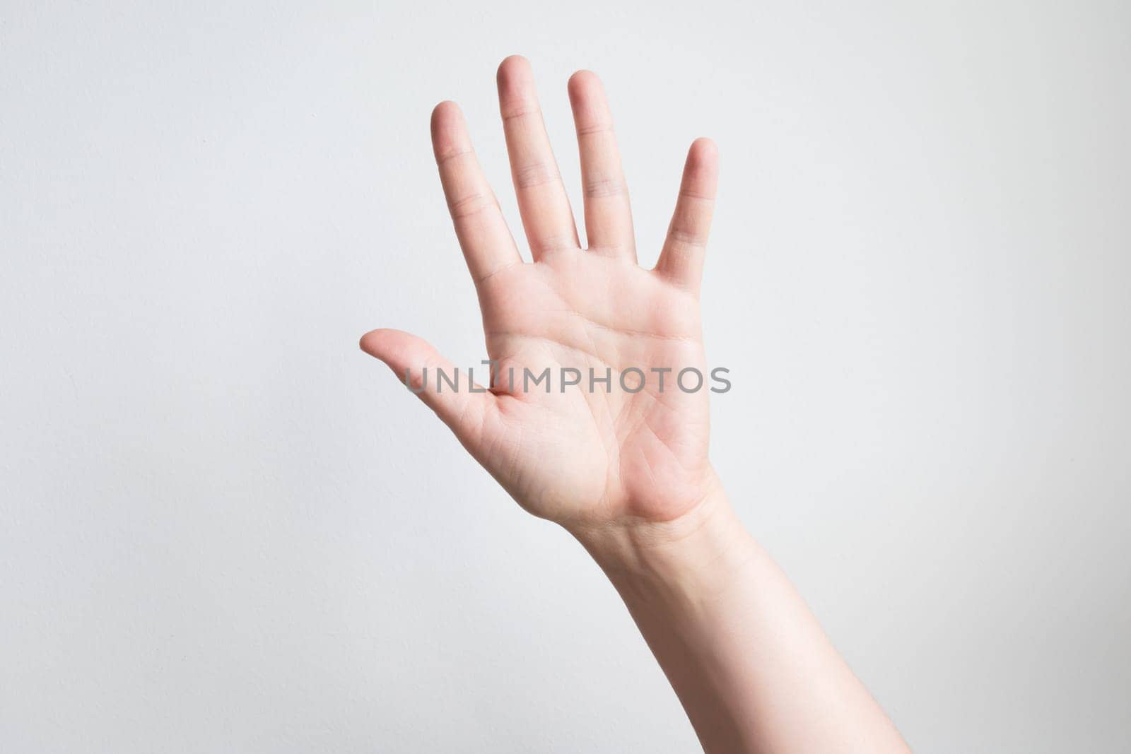 Caucasian adult hand raised against white background with open palm gesture.