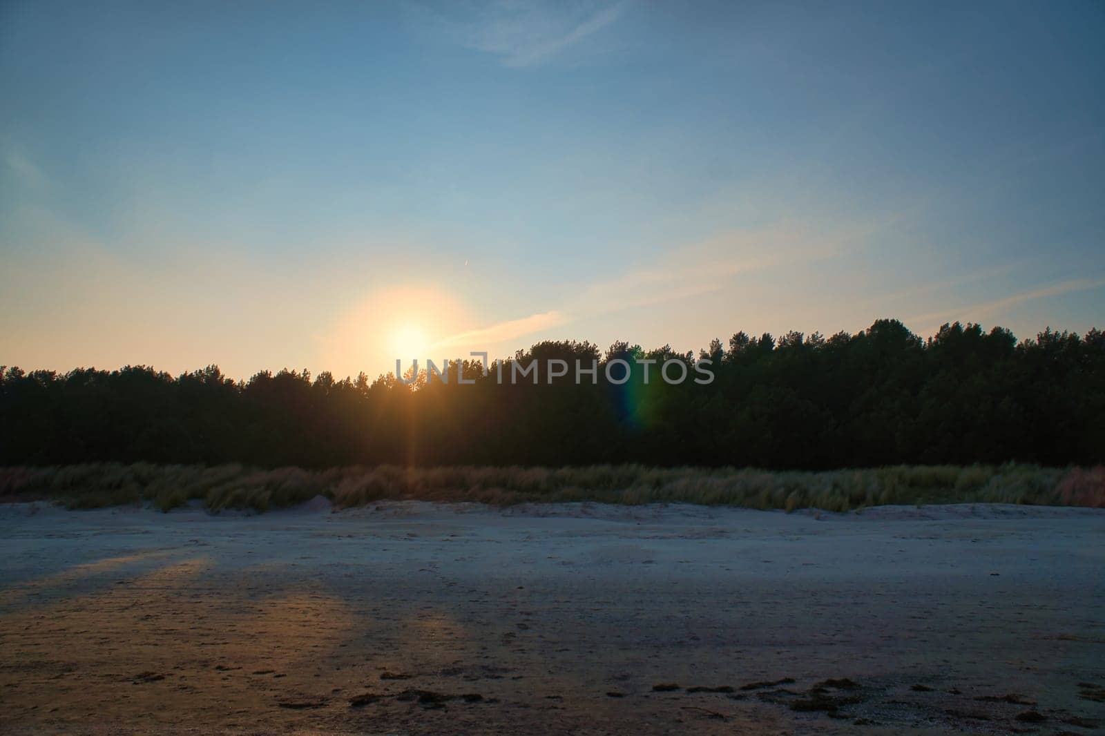 View of the dunes on the island of Usedom with forest, from the Baltic Sea at sunset. Dune grass and white sand. Nature photo