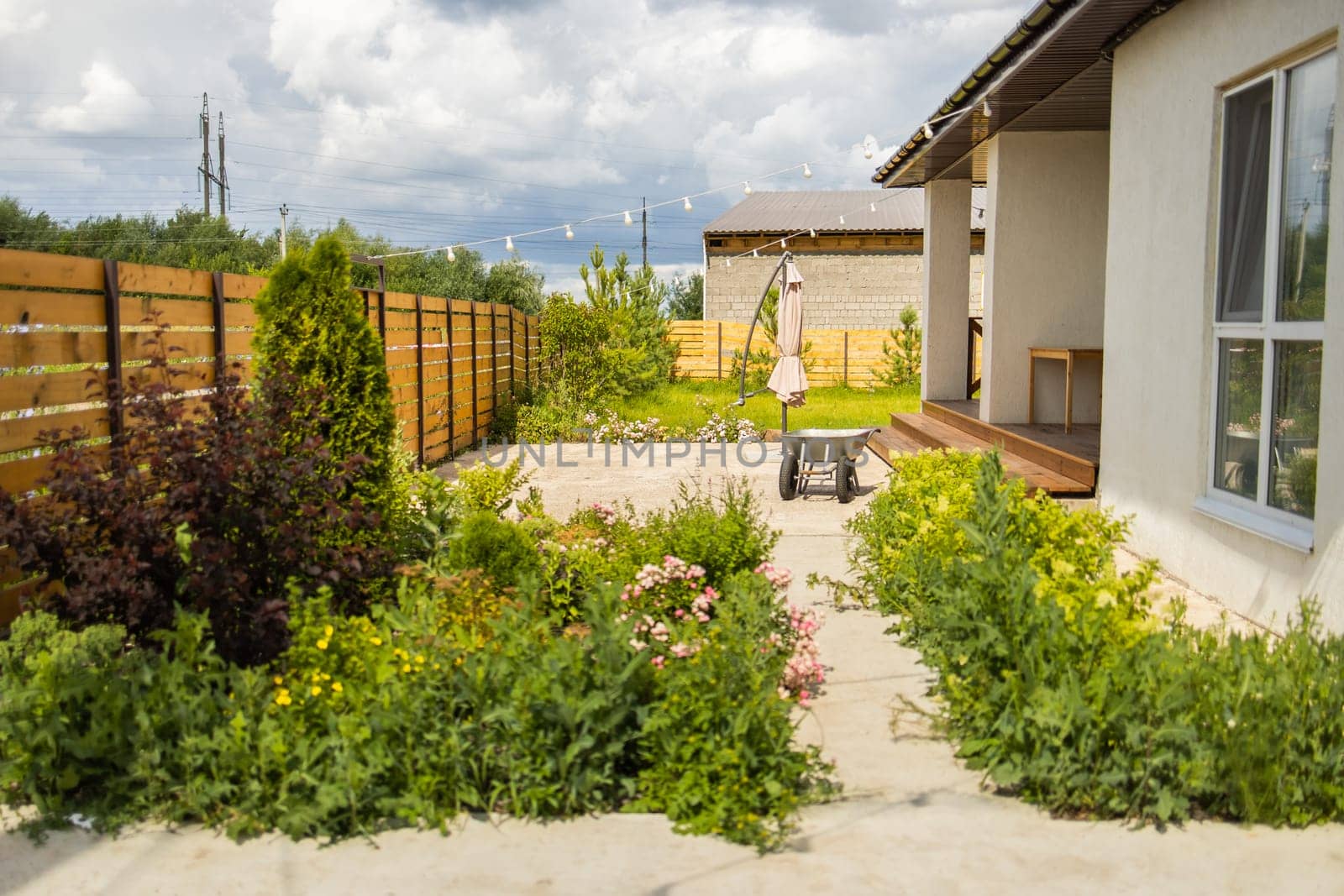 Green yard behind wooden fence. Organized outdoor living showing practical space usage and plant arrangement