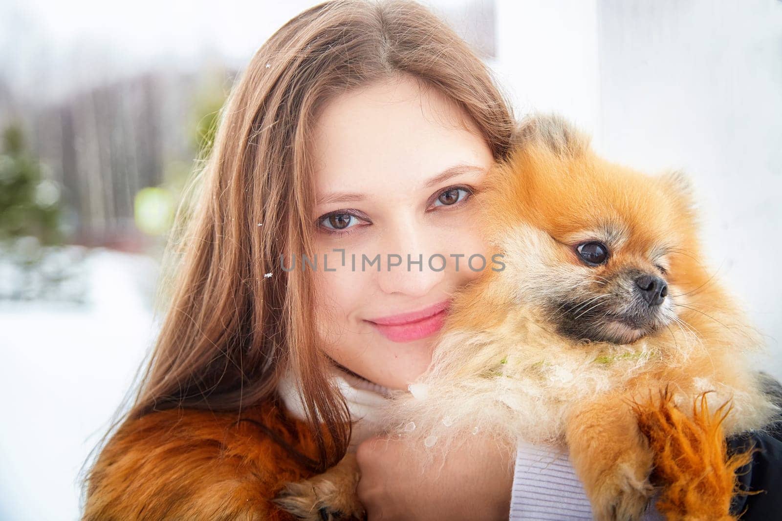 A woman lovingly holds her fluffy red Pomeranian while they walk together in a snowy environment.