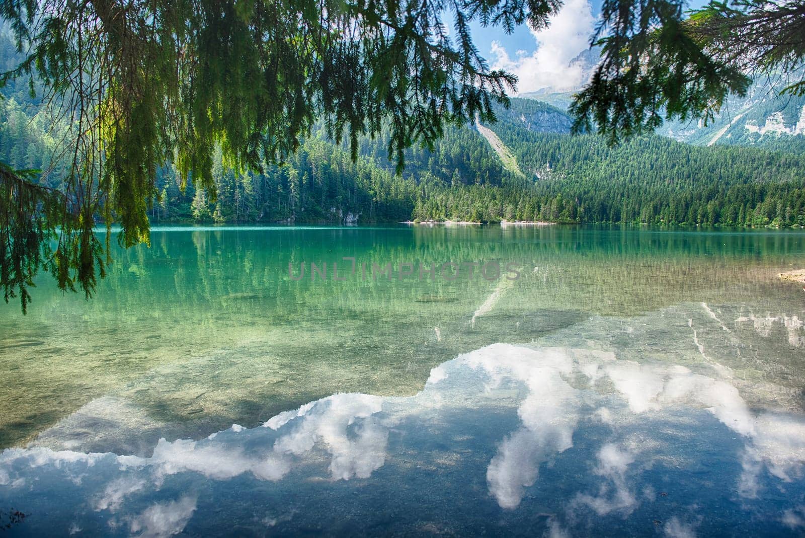 Panoramic view of the beautiful Lake Tovel with the Brenta Dolomites in the background on a sunny summer day, Trentino Alto Adige, Italy