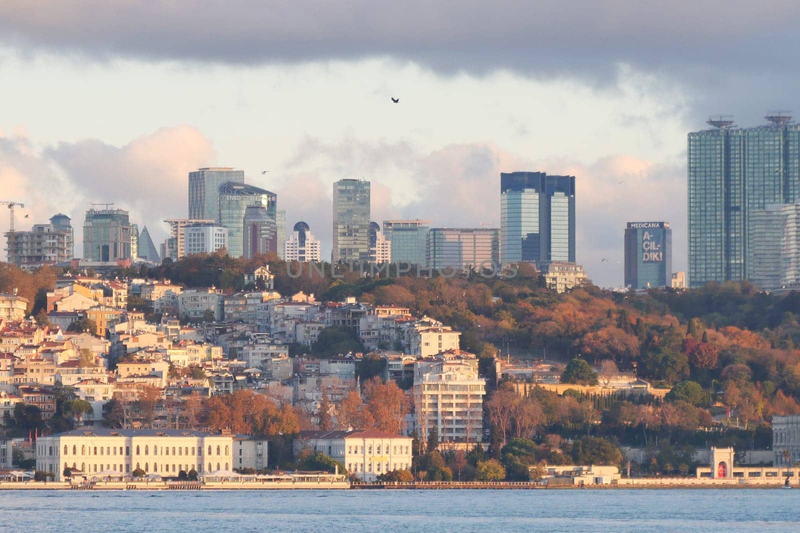 Modern buildings rise above a waterfront landscape with vibrant greenery.