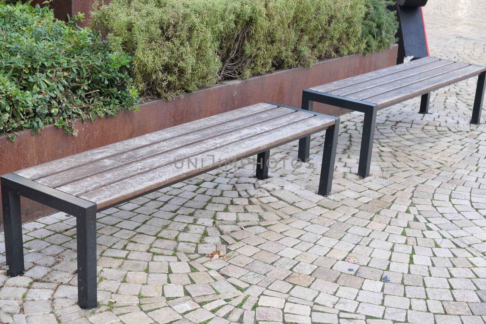 Two wooden benches are located beside greenery on a cobbled path.