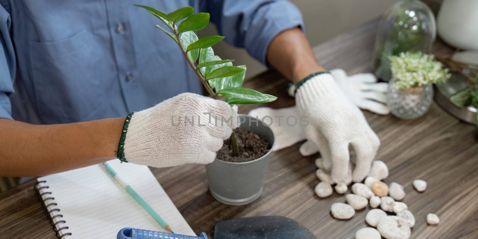 An individual carefully transfers a plant into a pot, using gloves for protection, illustrating the principles of sustainable gardening practices and nurturing the environment.