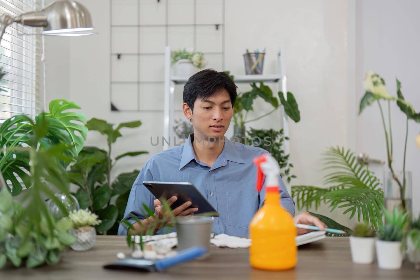 Engaged in sustainable gardening, a man utilizes his tablet to learn effective plant care methods while surrounded by vibrant indoor plants.
