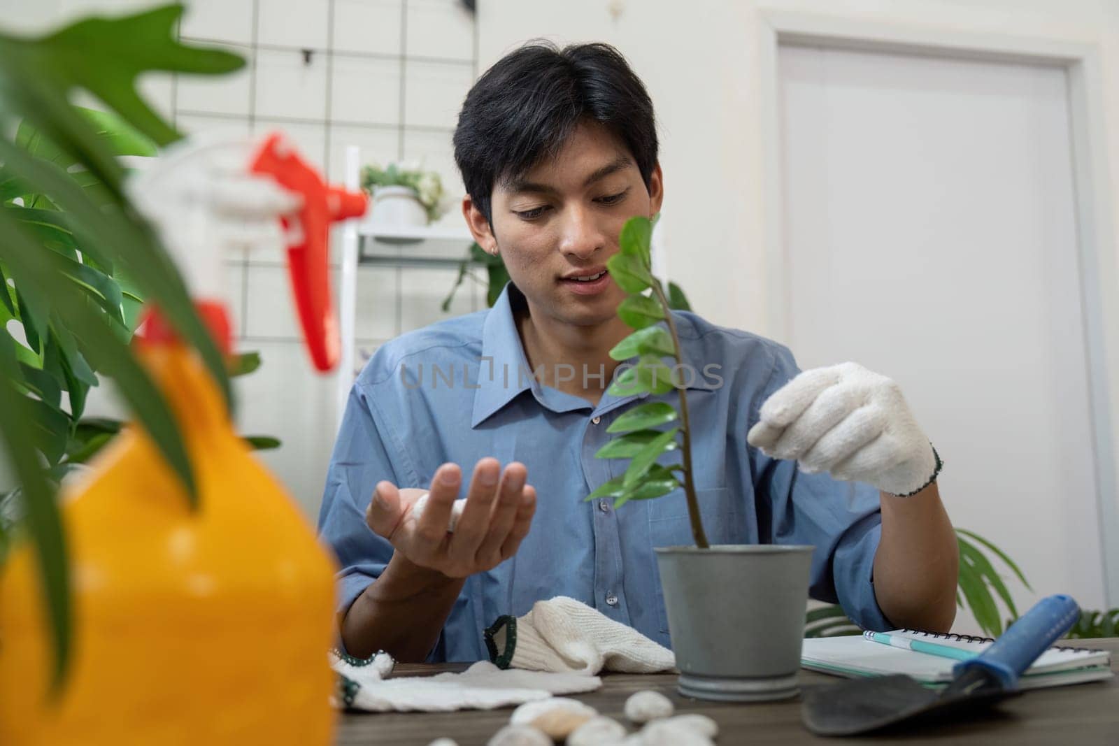 A gardener inspects a young plant, demonstrating knowledge and techniques in plant care while fostering sustainability in their gardening practices.