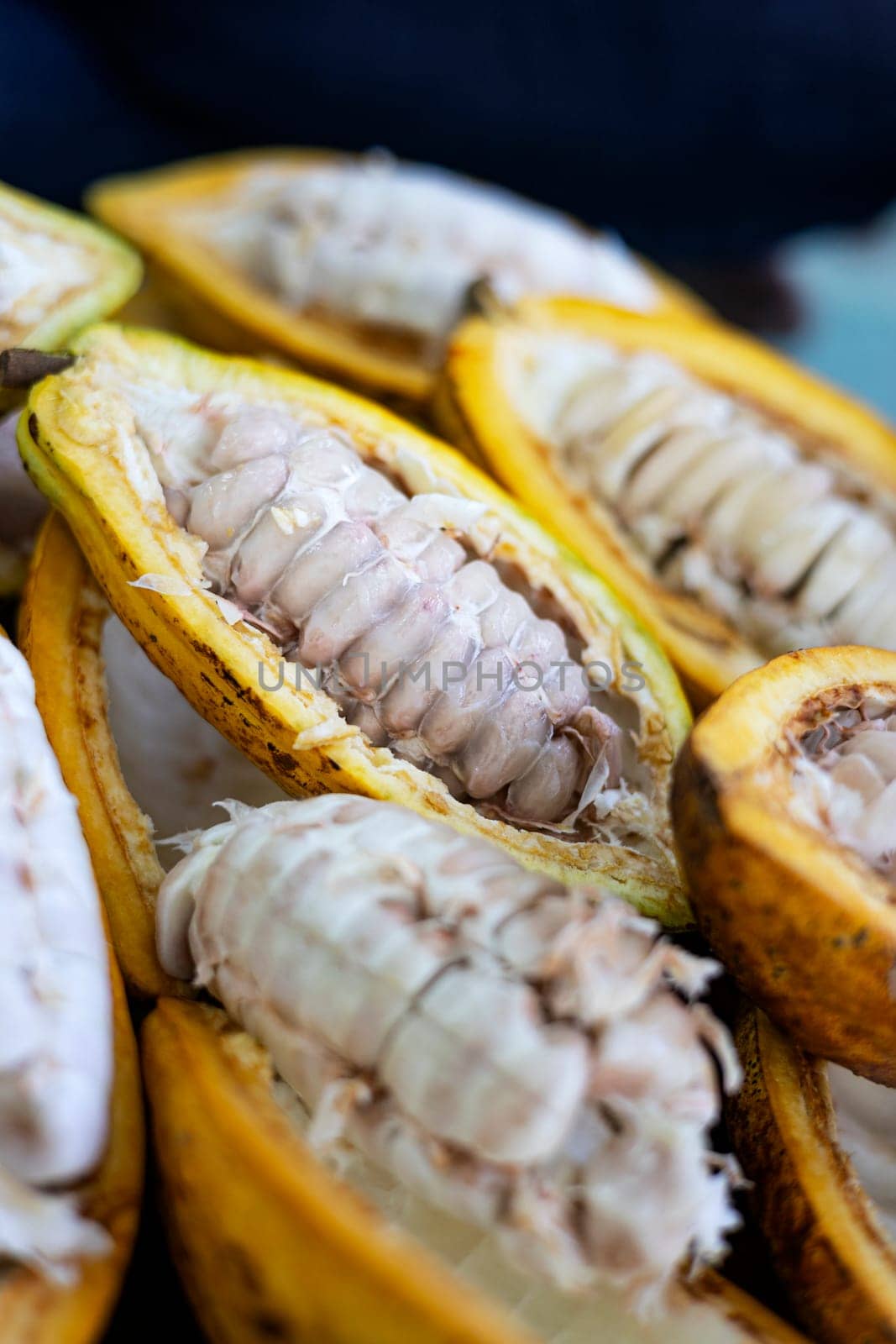 Half Cut Cocoa Fruit To Reveal The Seeds, Background for advertising and wallpaper in food and harvest scene.
