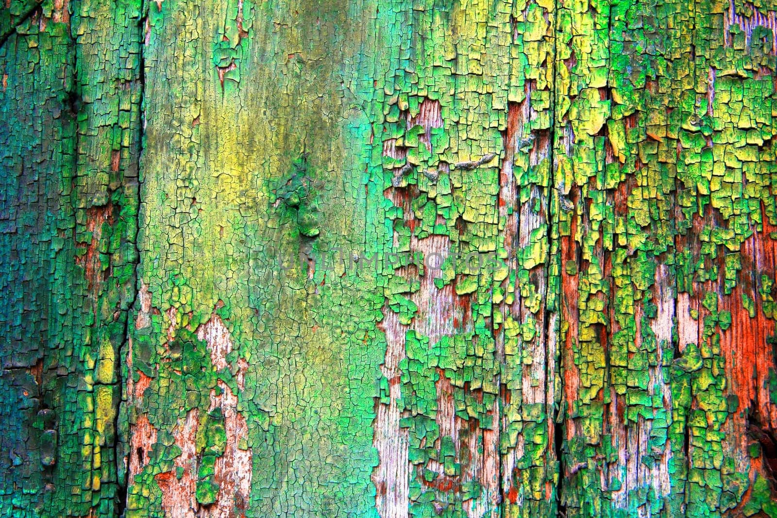 Background from an old wooden board with peeling green paint