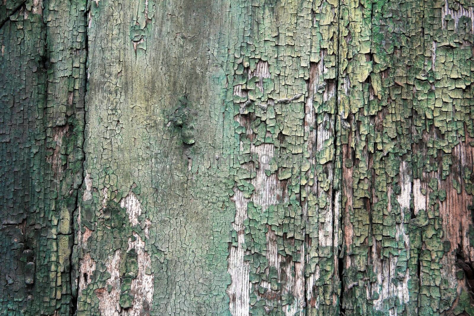 Background from an old wooden board with peeling green paint