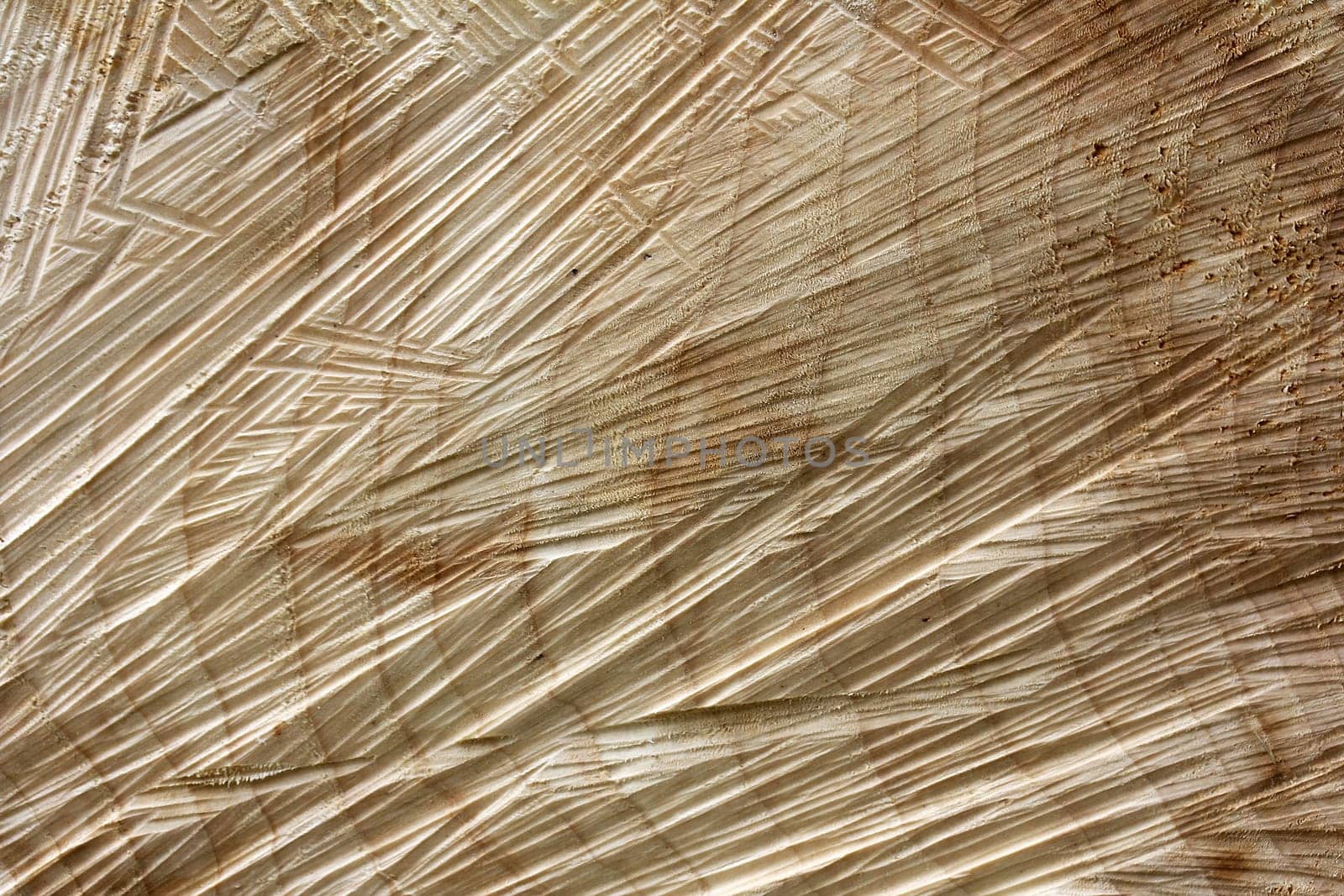 Wooden background from a sawn-off tree trunk