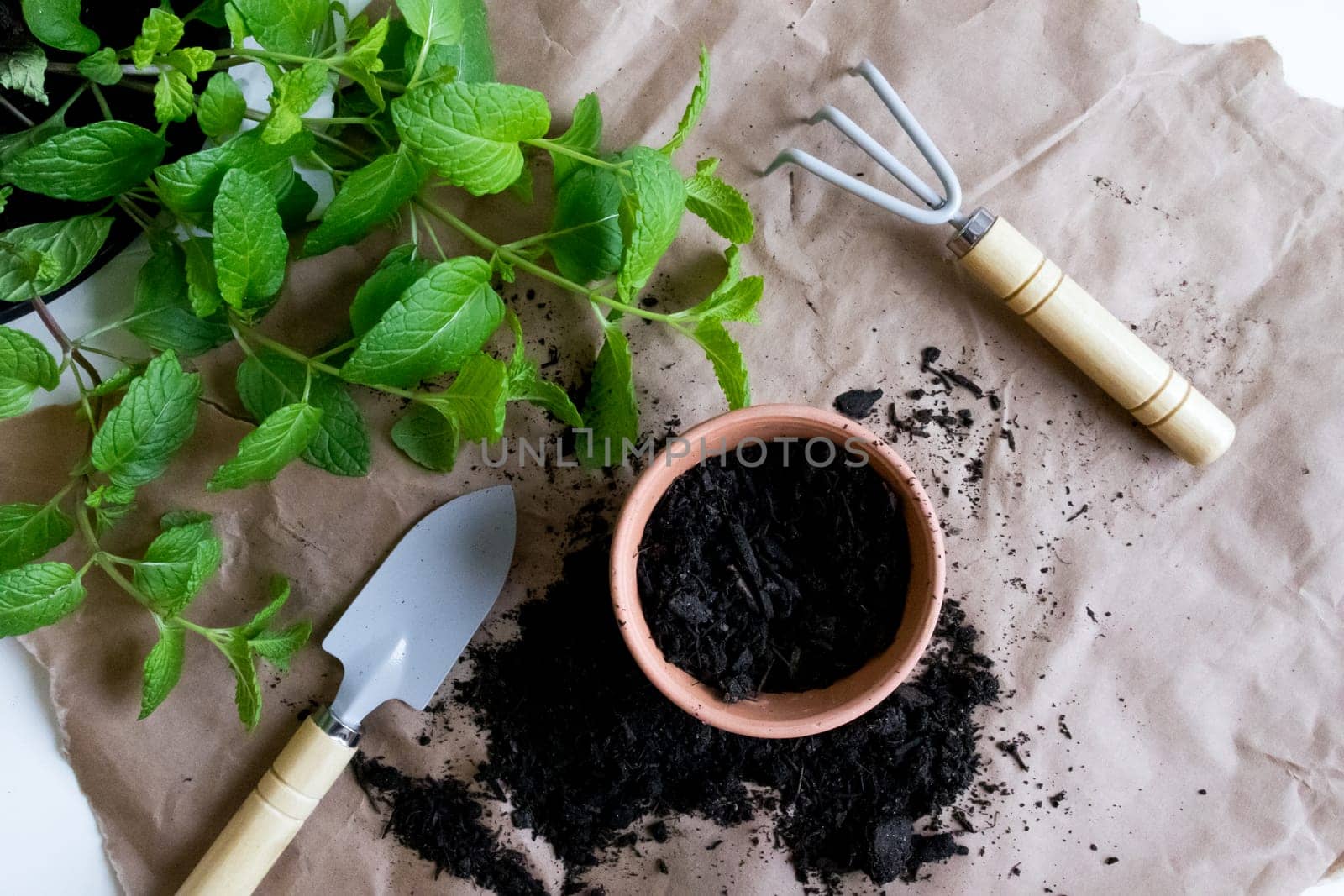 Gardening tools and fresh mint with soil in terra cotta pot on craft paper.