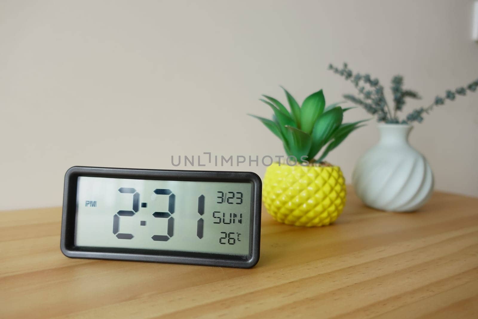 The clock shows time and temperature surrounded by small plants indoors.