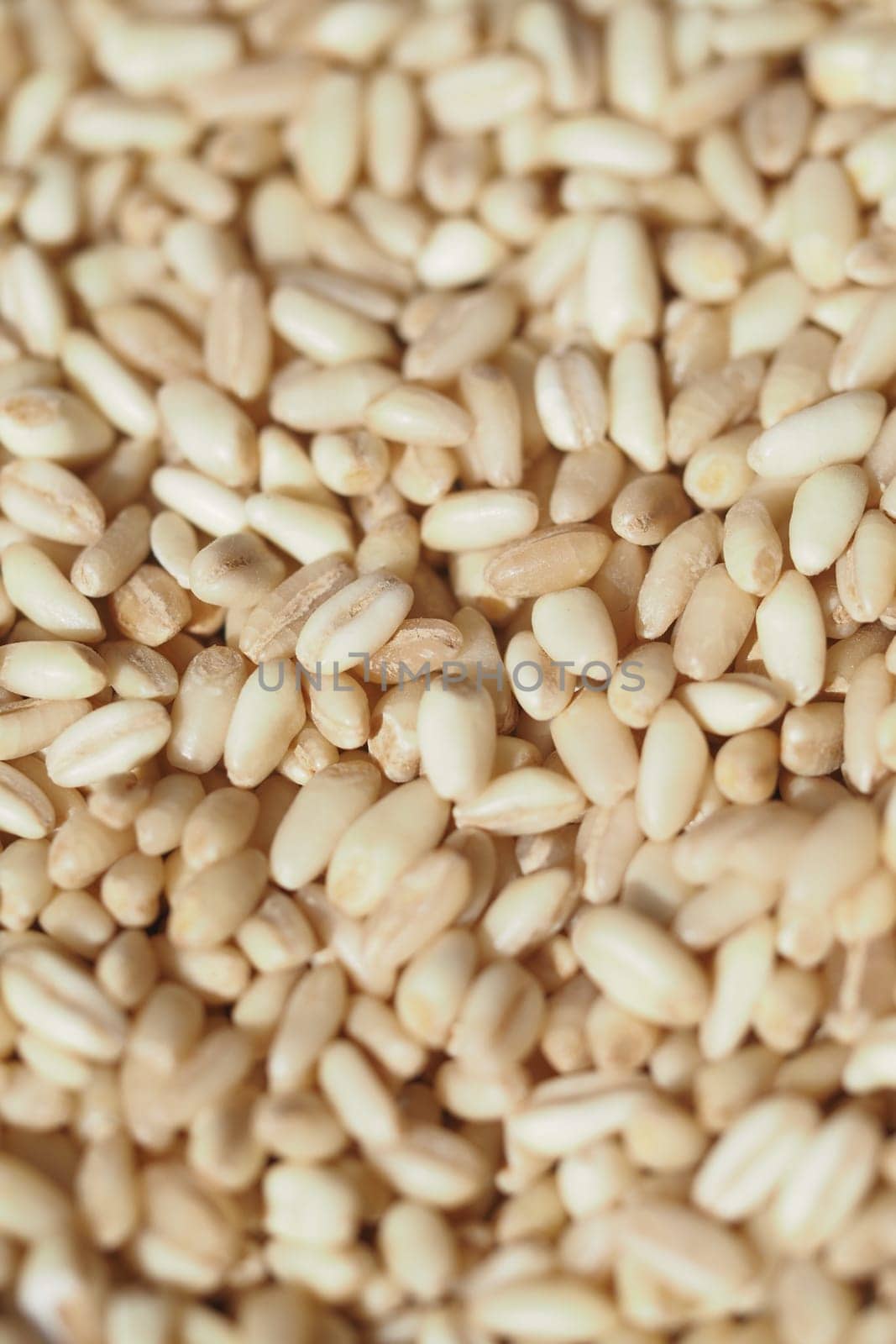 Close-up view of scattered sesame seeds ready for cooking and baking.
