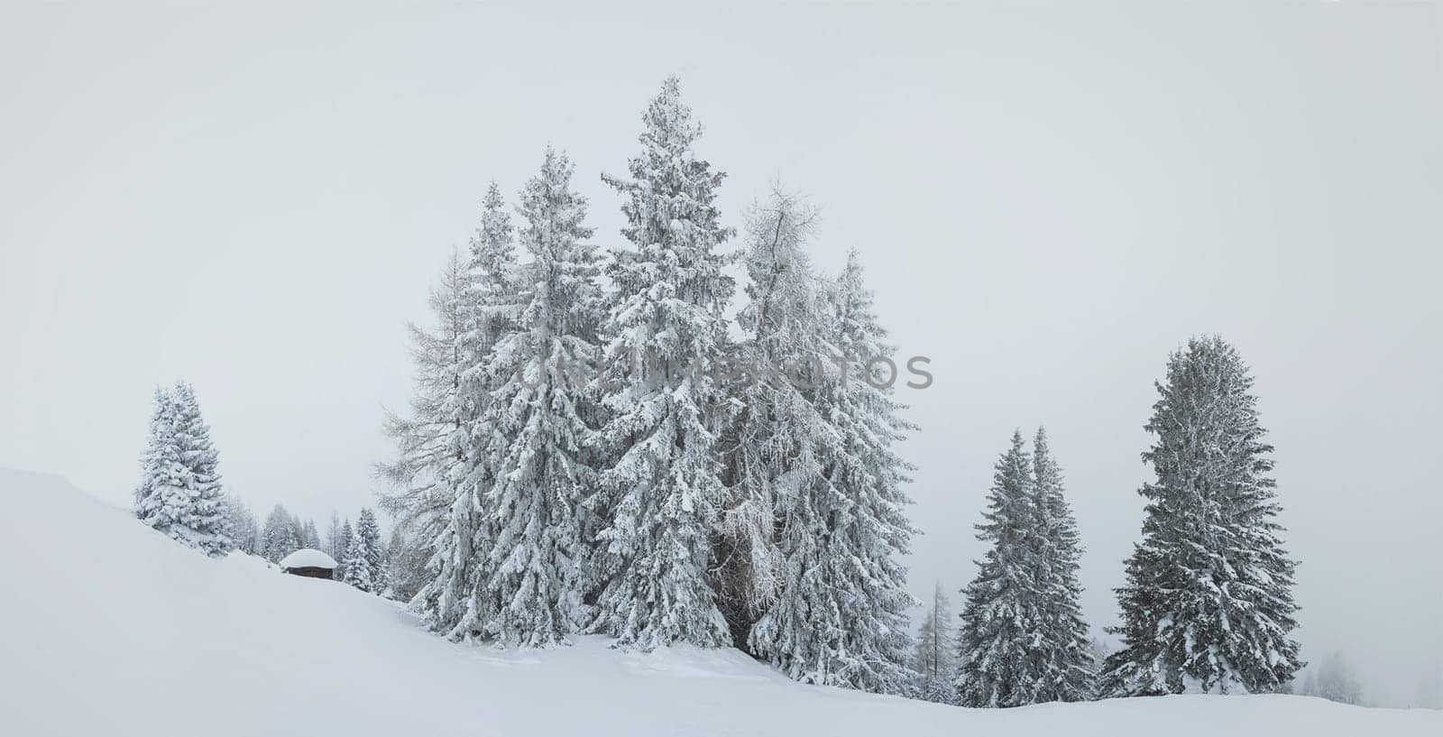 A Beautiful and Magical Austria pictures