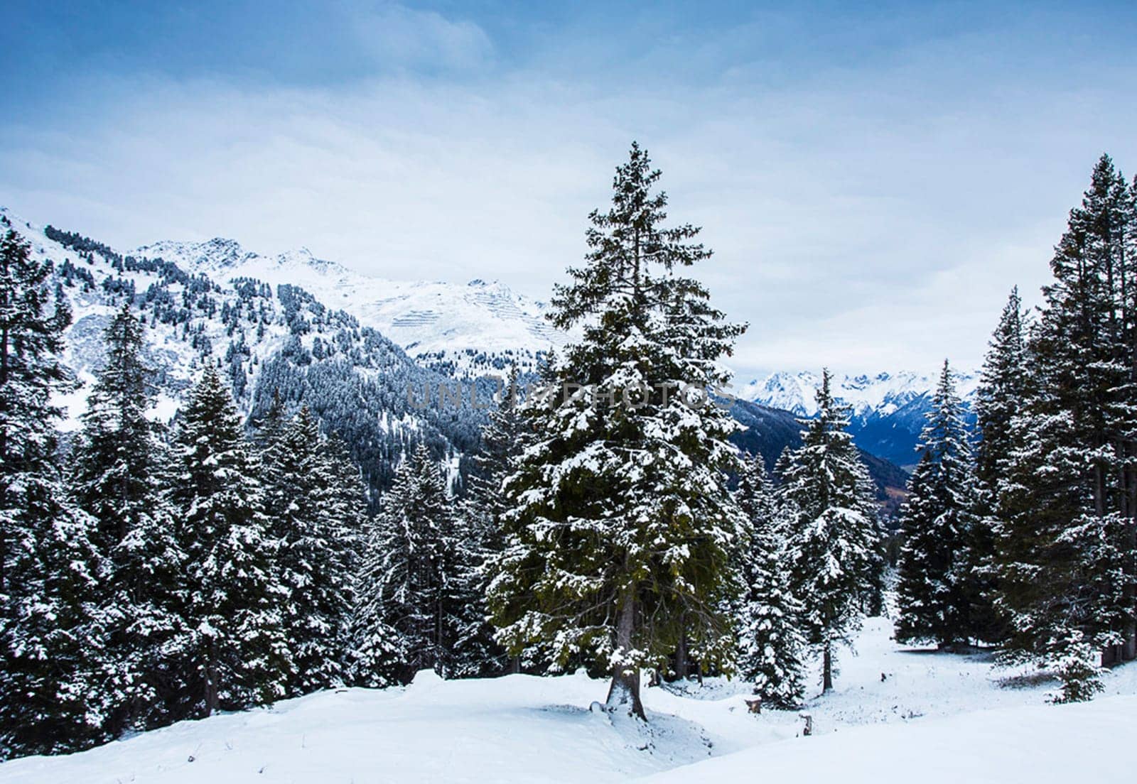 A Creative Austria pictures
