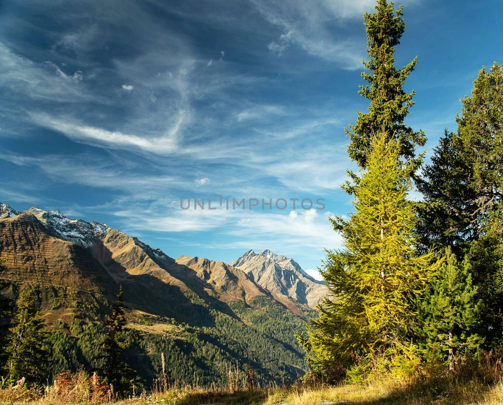 A Creative Austria pictures