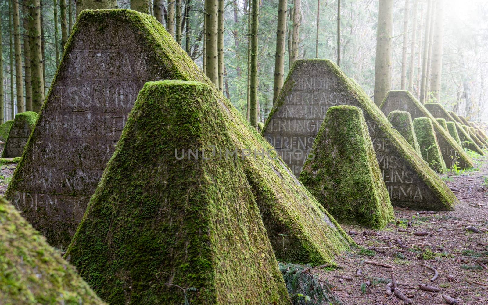 Dragon teeth, relicts of Second World War on Western Germany, Westwall close to Hellenthal, Eifel, North Rhine Westphalia, Germany