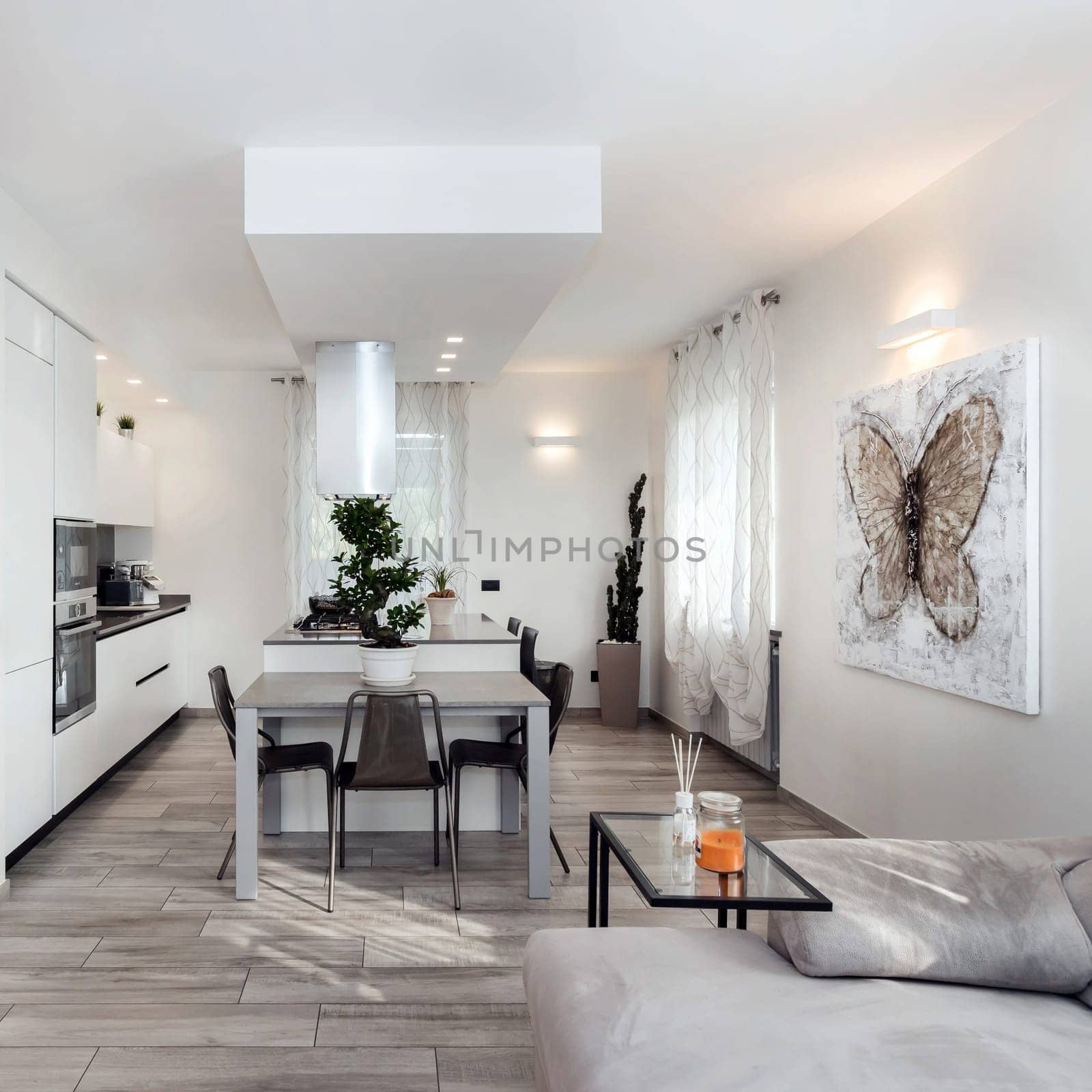 Modern living room. Spacious and modern kitchen and living room in white and gray. Interior designed with style.