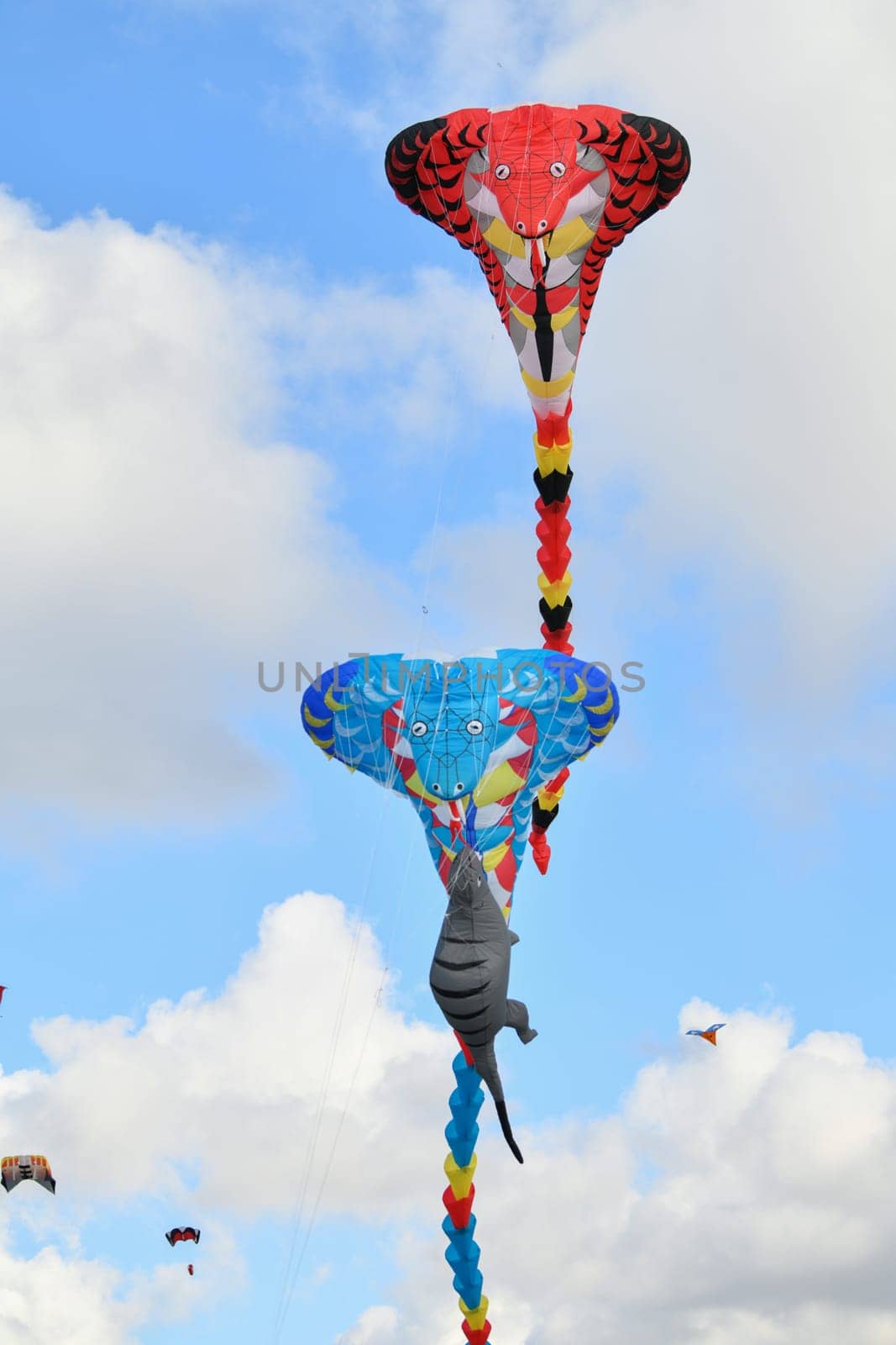 Kite festival. Kite cobra in the sky at the beach of Atlantic ocean