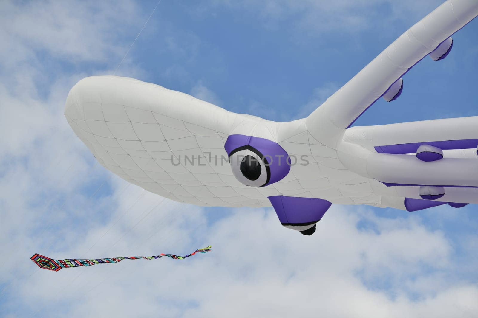 White Octopus kites in the sky Kite festival at Dieppe